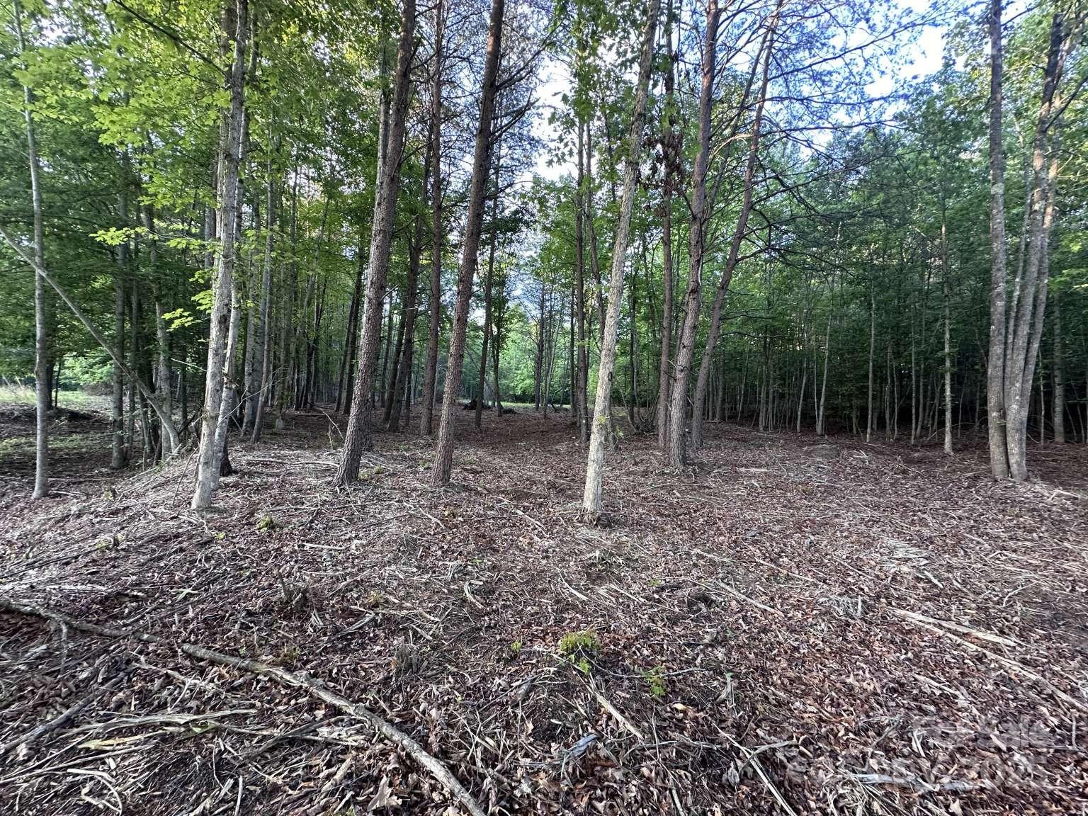 2320 Howard Arnette Road Lenoir, NC 28645 - Photo 12 of 20