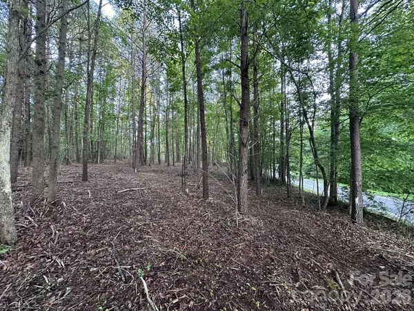 a view of a lake with a tree