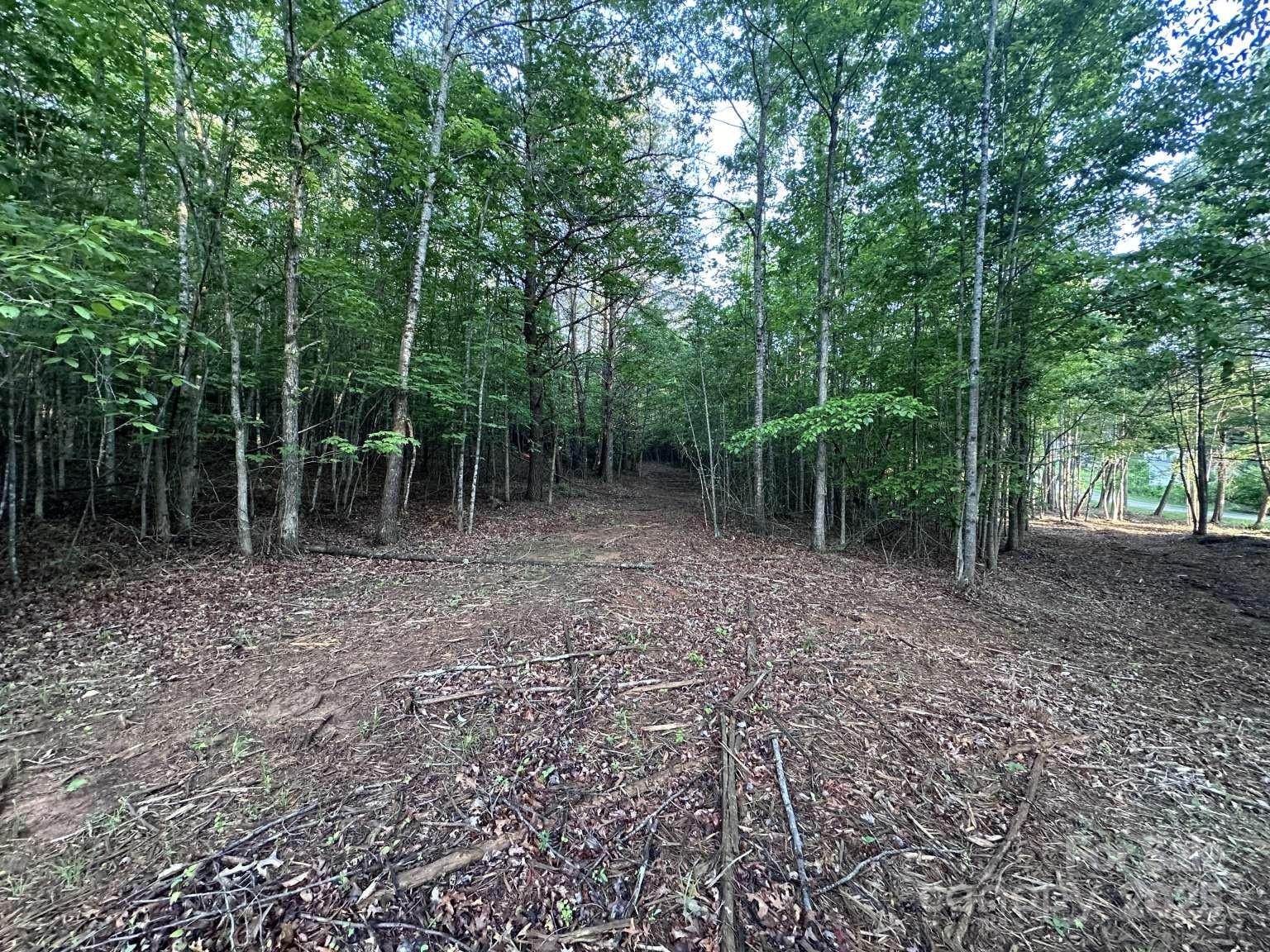 2320 Howard Arnette Road Lenoir, NC 28645 - Photo 4 of 20