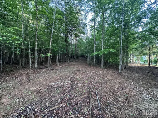 a view of outdoor space with trees all around