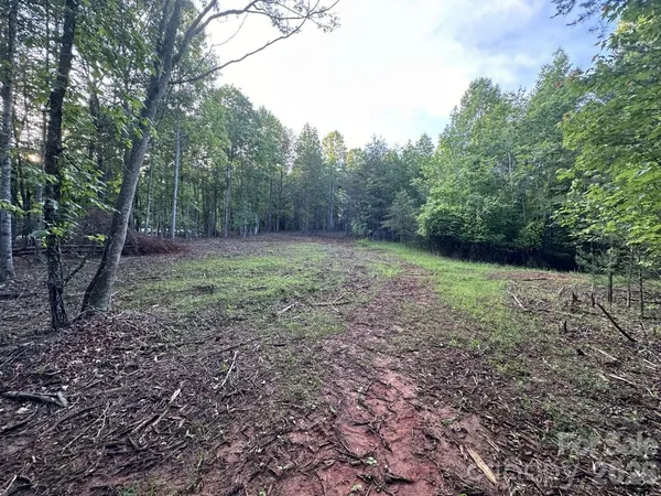 a view of a yard with lots of trees