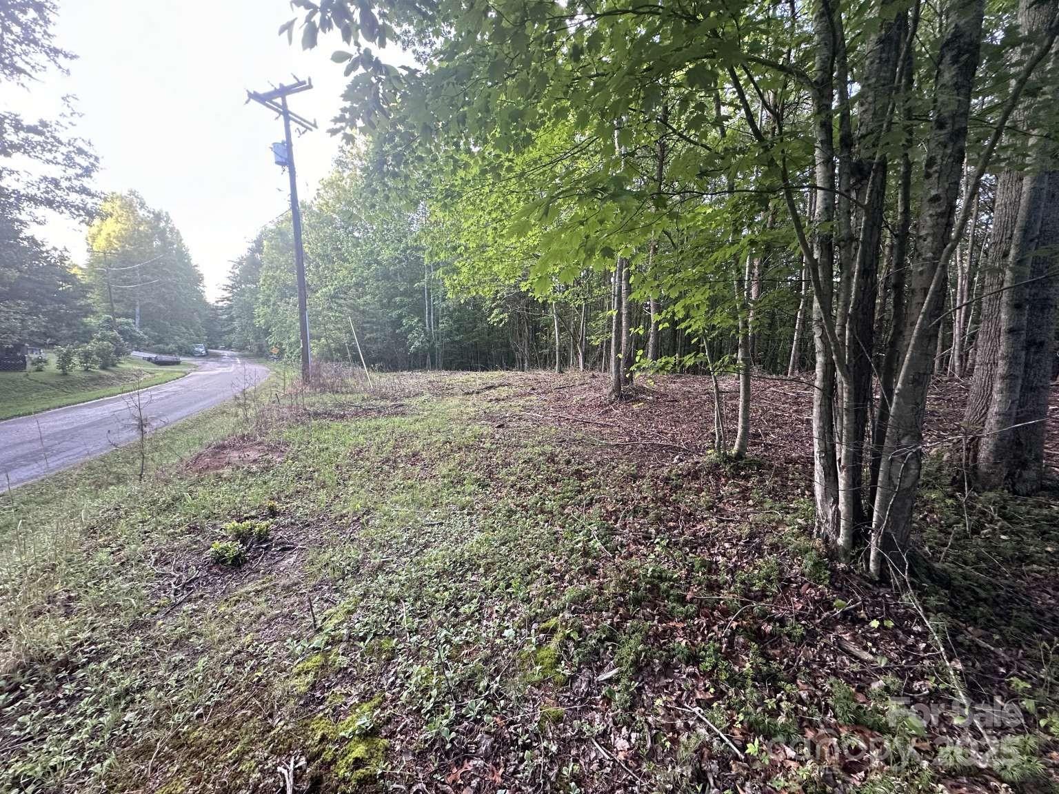 2320 Howard Arnette Road Lenoir, NC 28645 - Photo 8 of 20