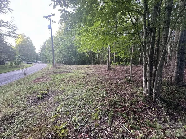 a view of backyard with green space