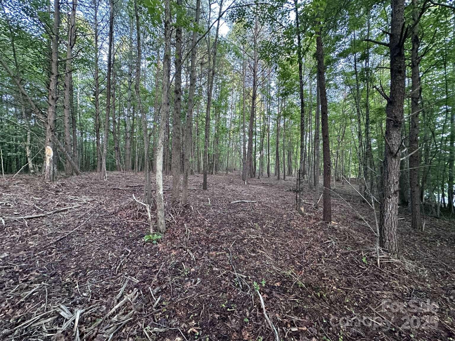 2320 Howard Arnette Road Lenoir, NC 28645 - Photo 10 of 20