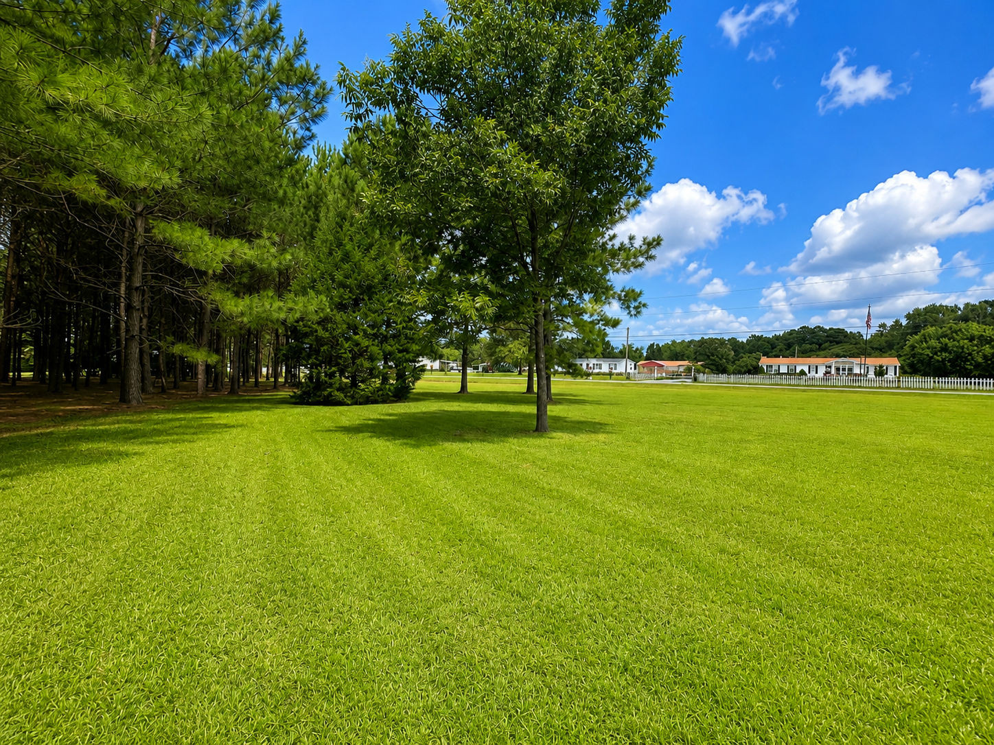 28 Bunn Road Kenly, NC 27542 - Photo 3 of 11 1AAE70E8-C8F2-452D-AAAD-317E7BF1E255.png