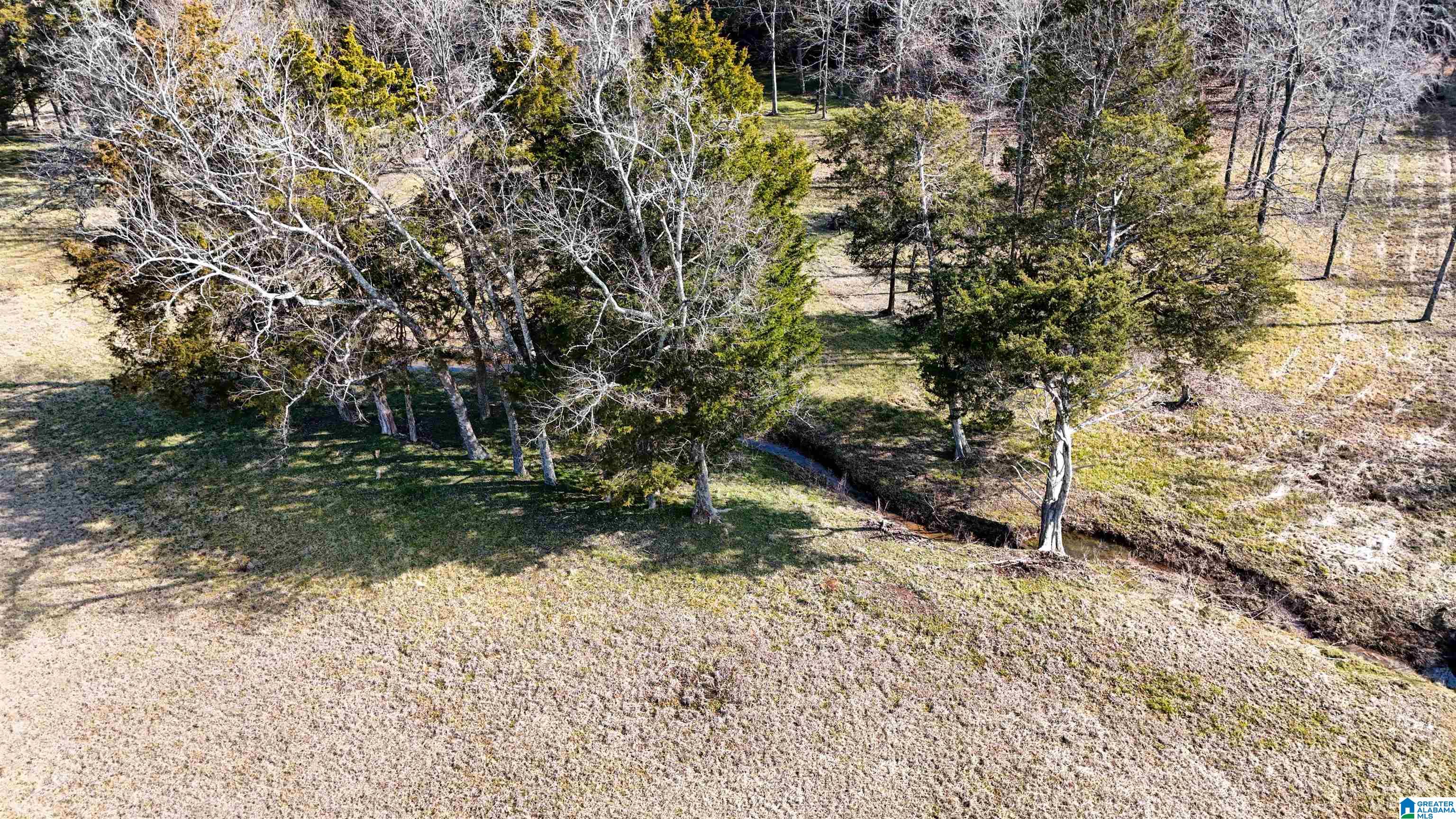 0 Day Drive, Unit 10 Somerville, AL 35670 - Photo 7 of 16