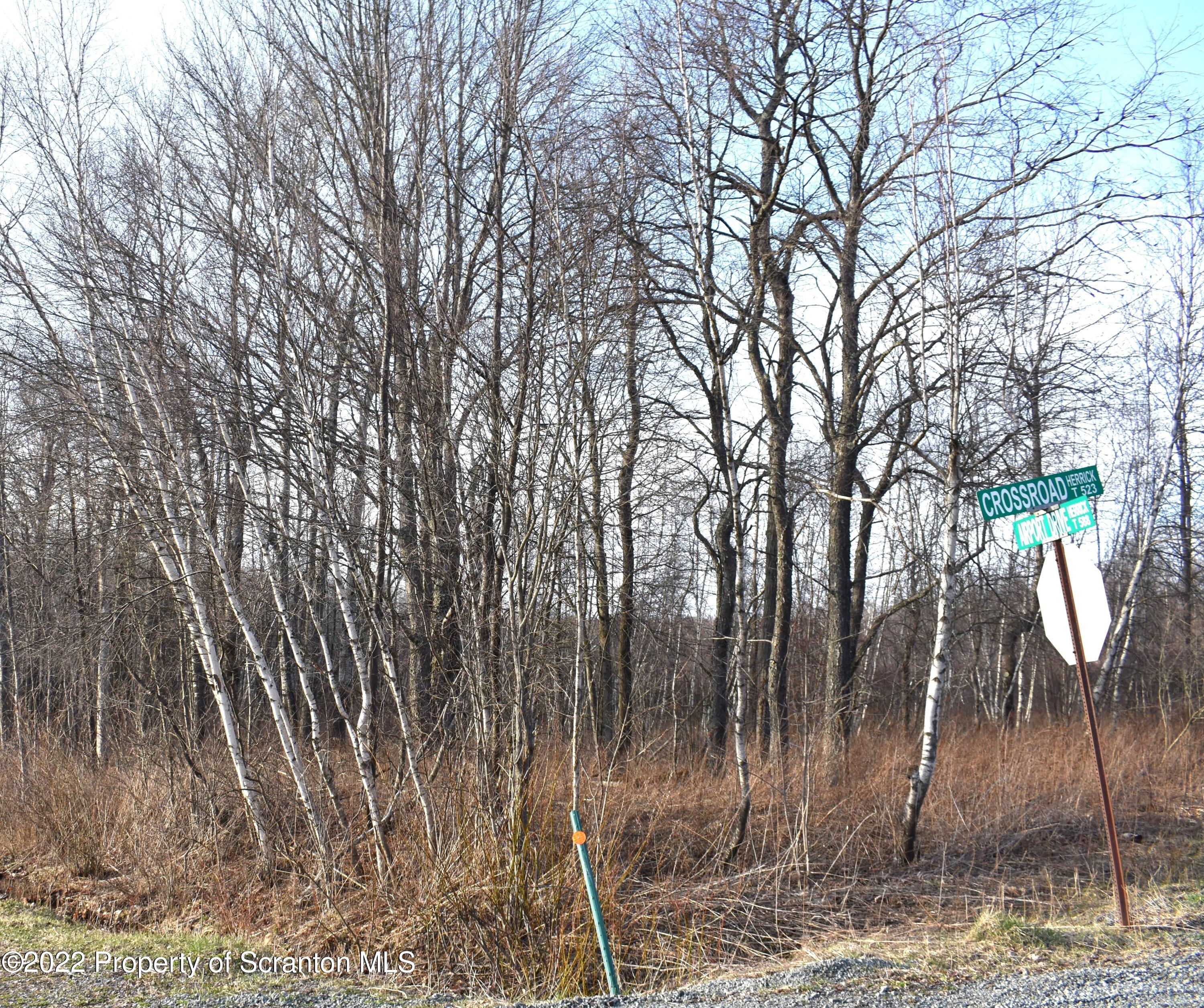 0 Cross Road Union Dale, PA 18470 - Photo 1 of 5 a backyard of a house with lots of green space