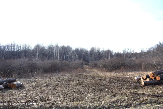 a view of a backyard with water fountain