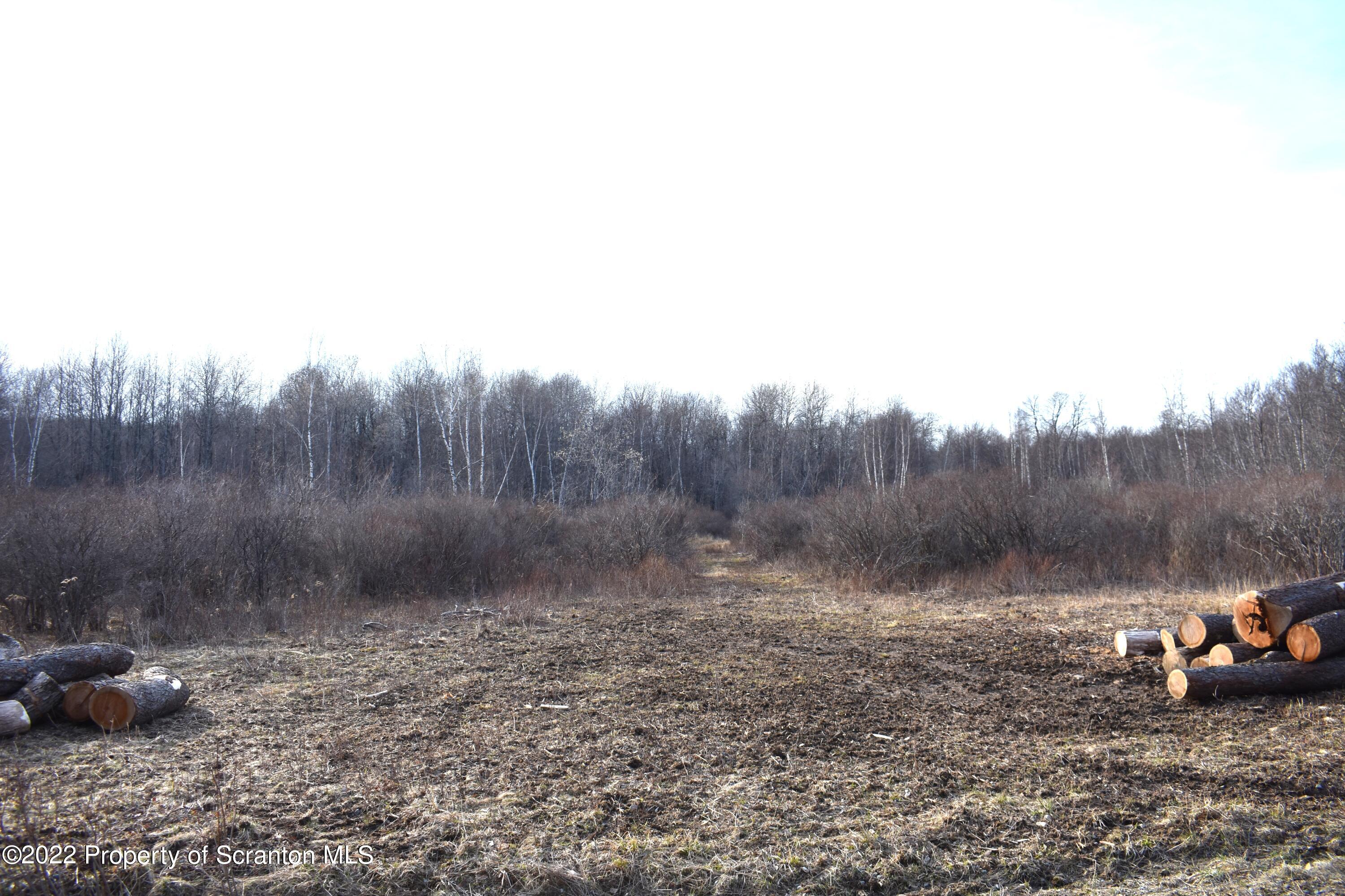 0 Cross Road Union Dale, PA 18470 - Photo 3 of 5 a view of a backyard with water fountain