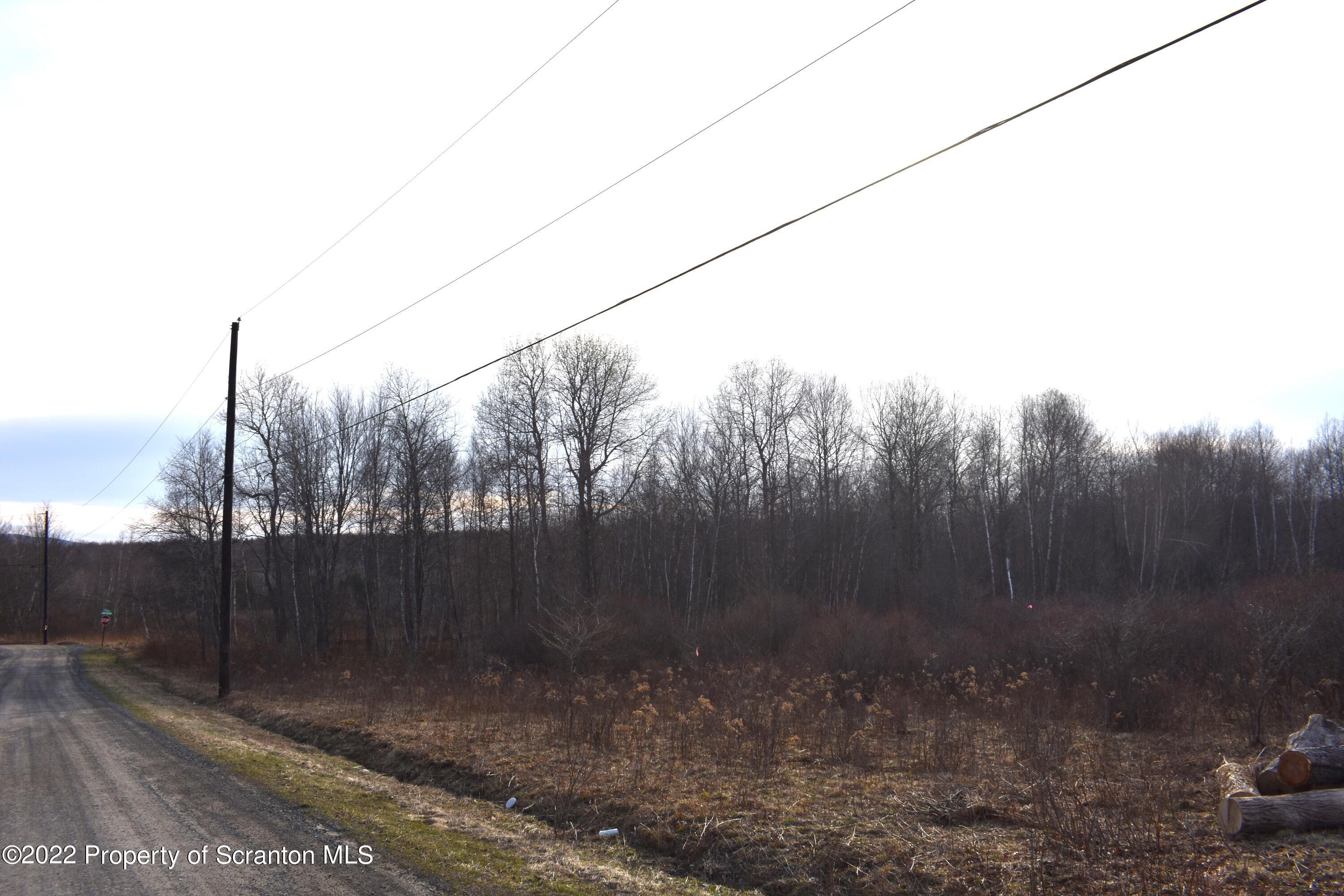 0 Cross Road Union Dale, PA 18470 - Photo 4 of 5 a view of a yard with a tree