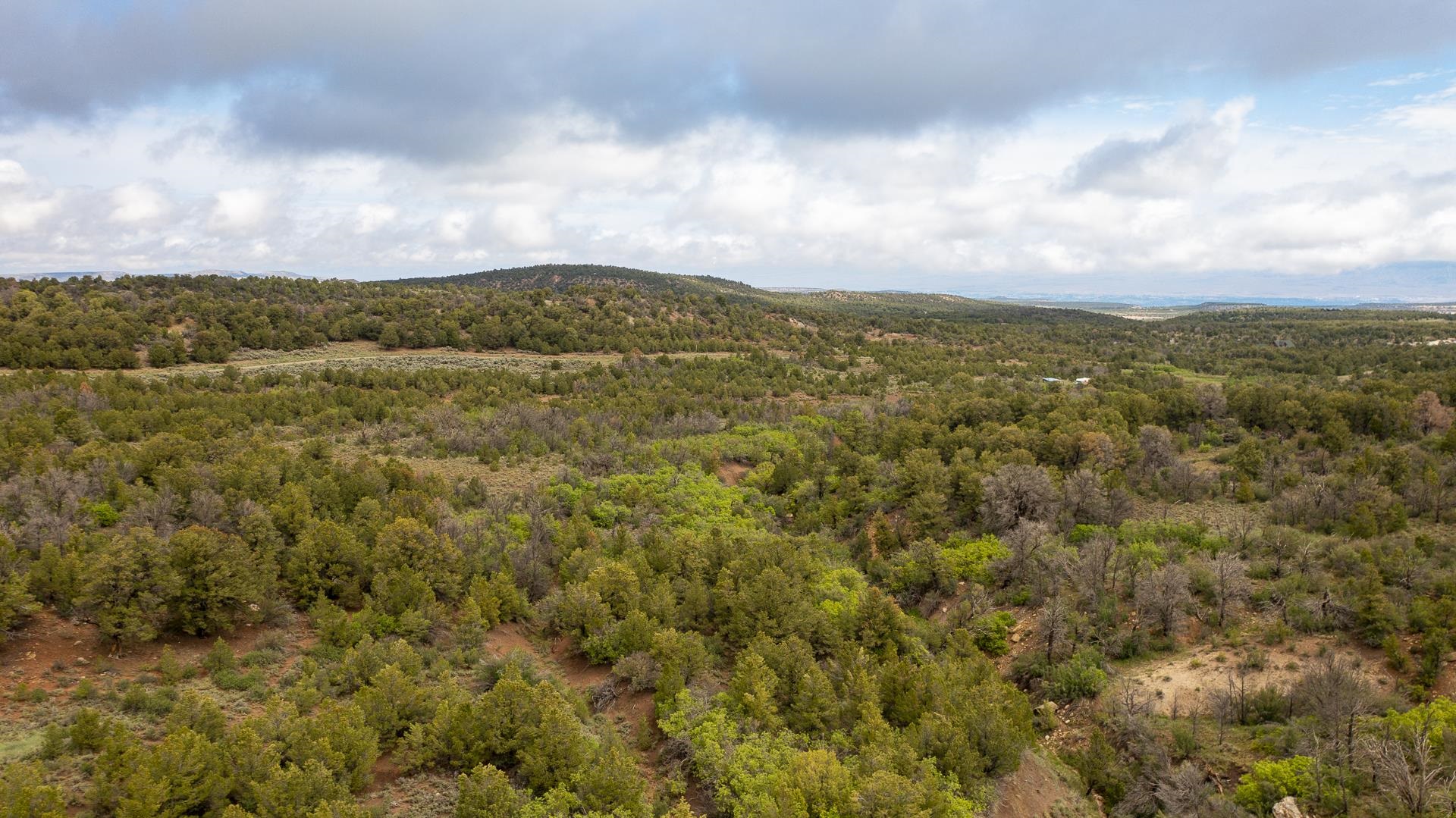 18973 Elk Reserve Road Glade Park, CO 81523 - Photo 18 of 21