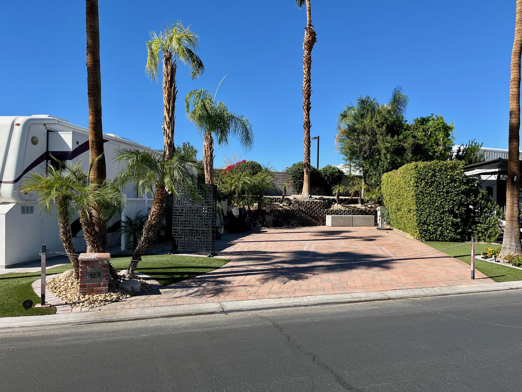 a view of a potted plants next to a road