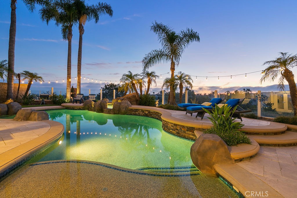 a view of a swimming pool with a table and chairs potted plants