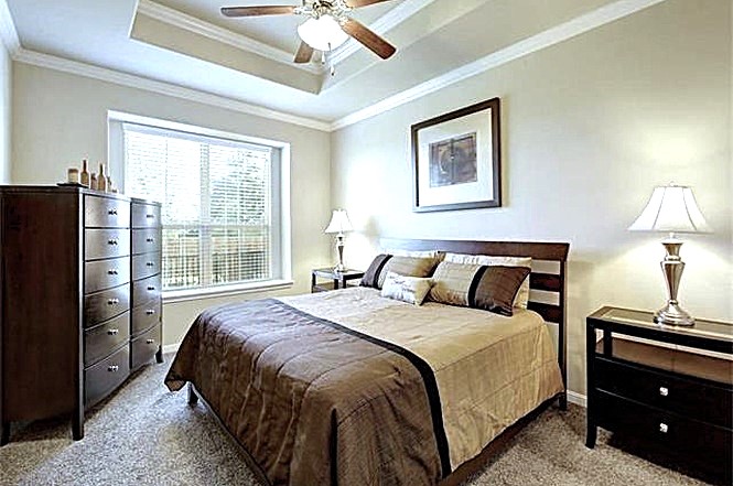 14001 Avery Ranch Boulevard, Unit 801 Austin, TX 78717 - Photo 5 of 26 A well-lit primary bedroom featuring a tray ceiling and a large window providing ample natural illumination.