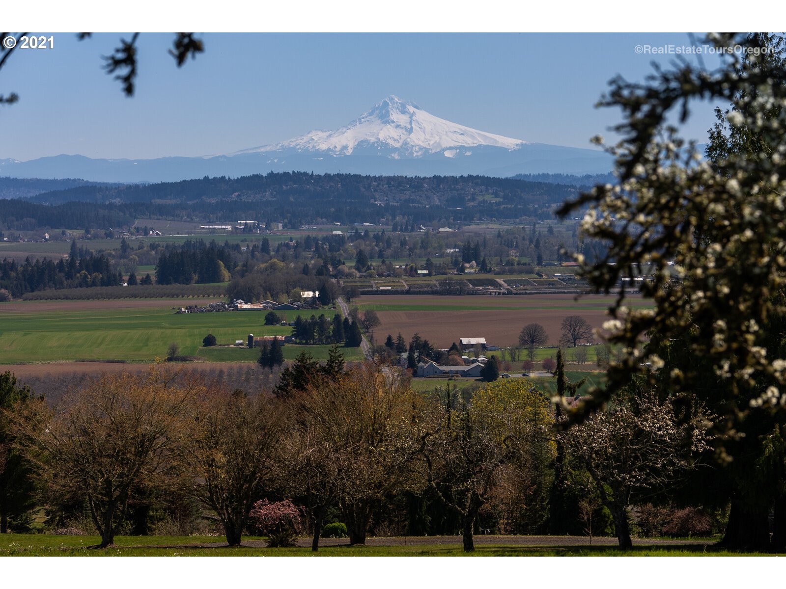 33411 Southwest Laurel Road Hillsboro, OR 97123 - Photo 3 of 32 Gallery Image 3