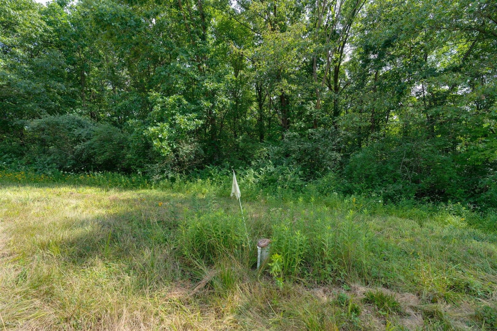 1400-north Rd Carl Springs Road Wapella, IL 61777 - Photo 3 of 23