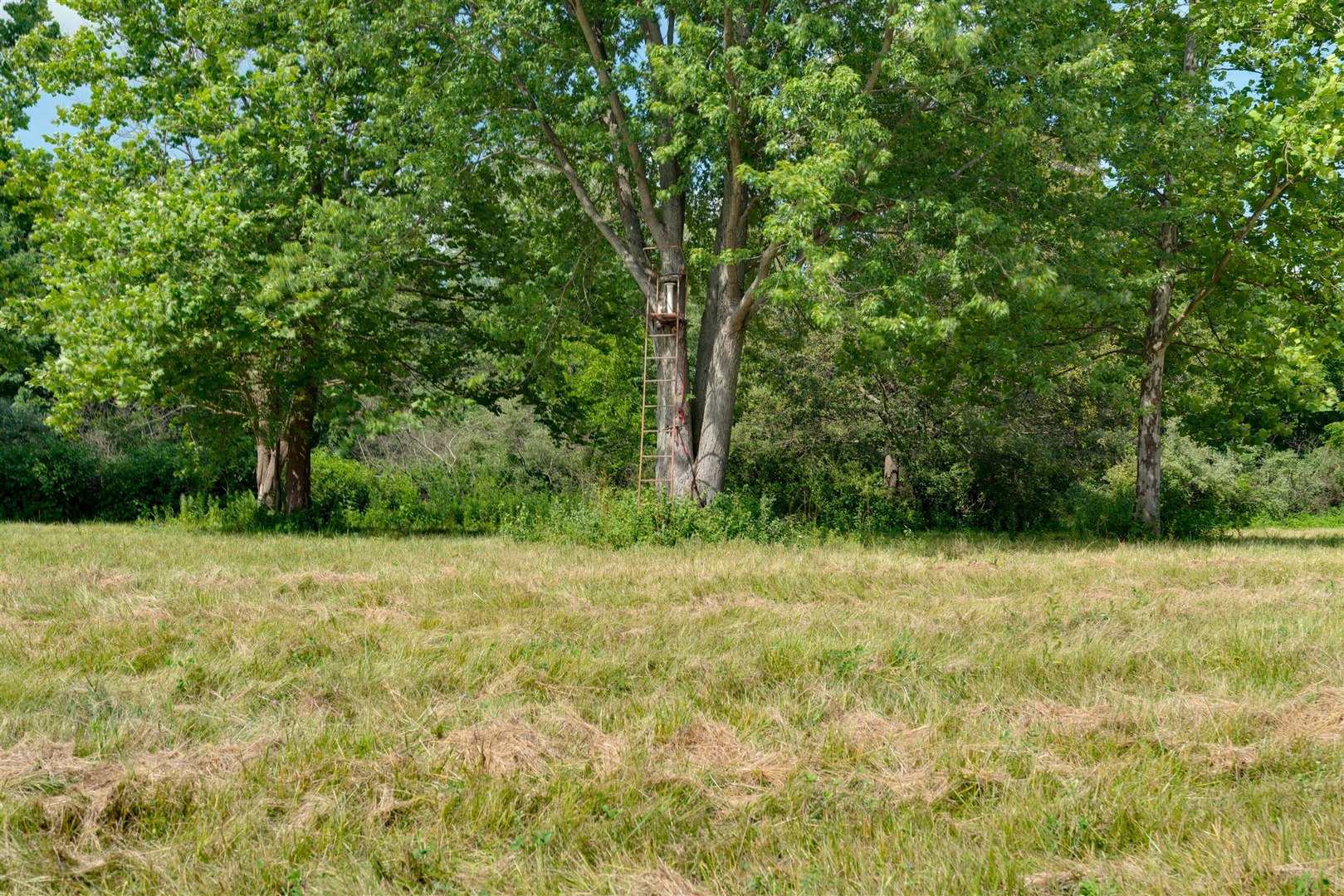 1400-north Rd Carl Springs Road Wapella, IL 61777 - Photo 4 of 23