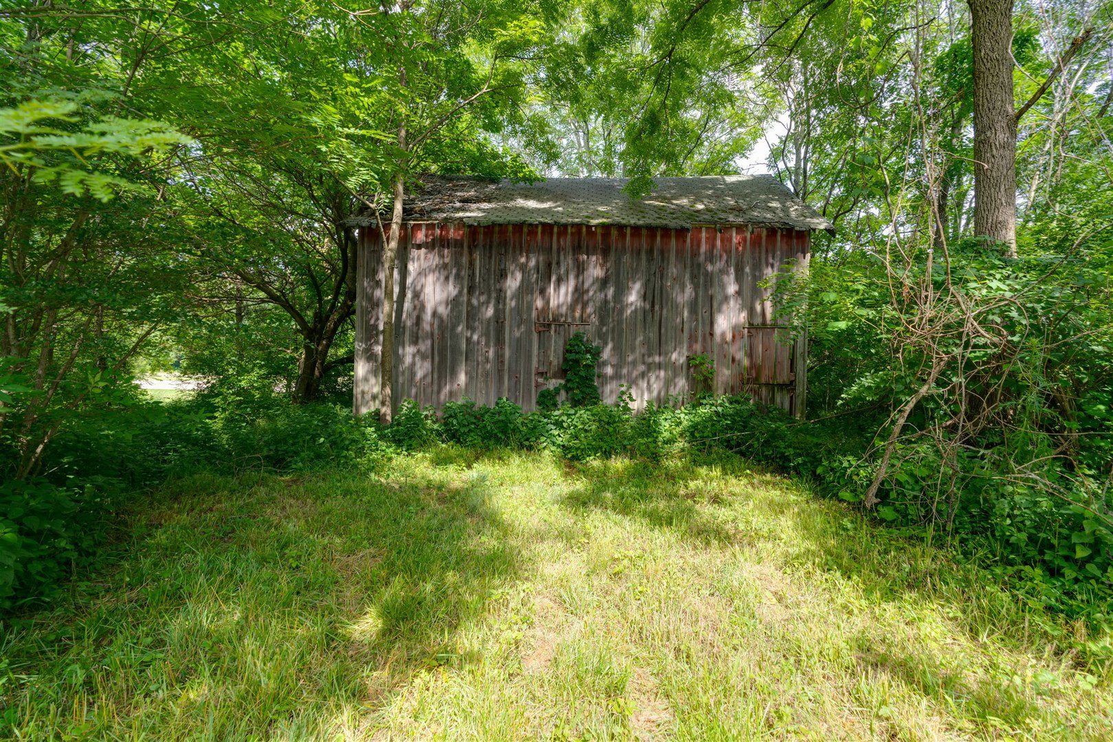1400-north Rd Carl Springs Road Wapella, IL 61777 - Photo 6 of 23