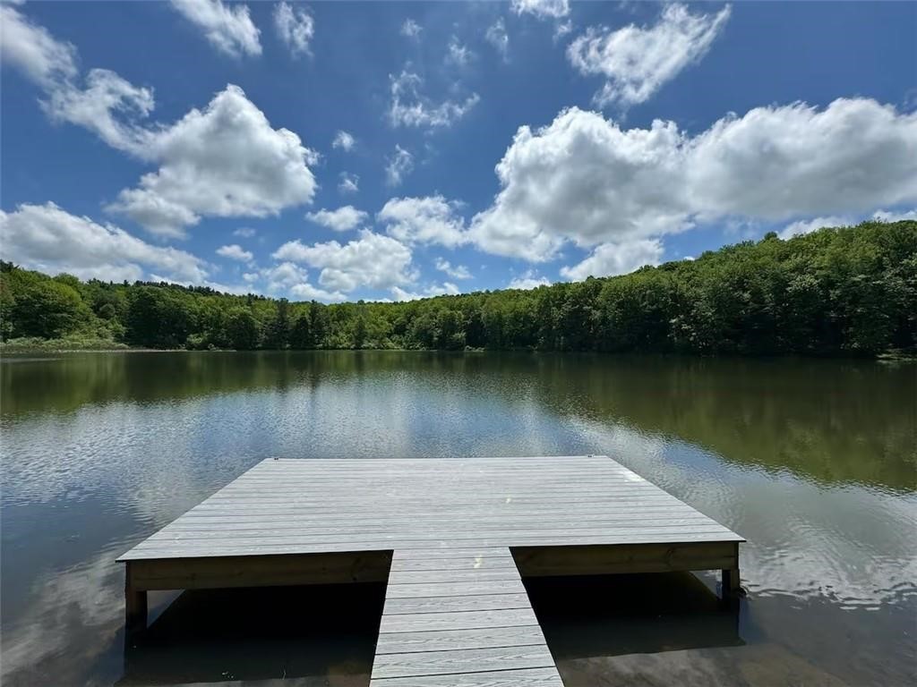 1737 Tupper Hill Road Franklin, NY 13775 - Photo 2 of 29