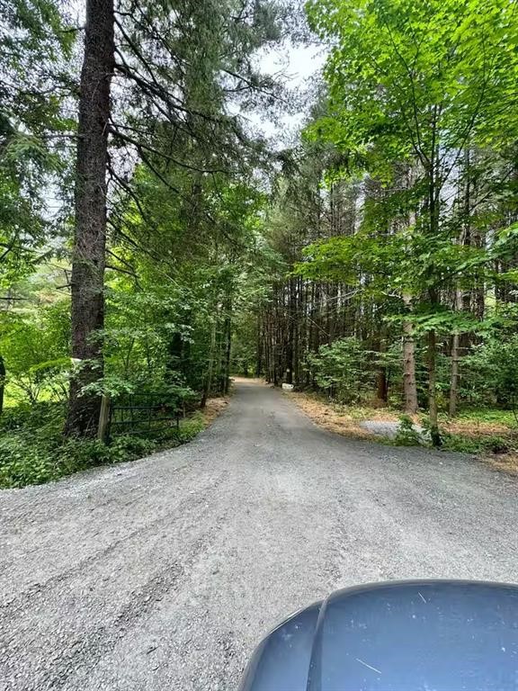 1737 Tupper Hill Road Franklin, NY 13775 - Photo 23 of 29