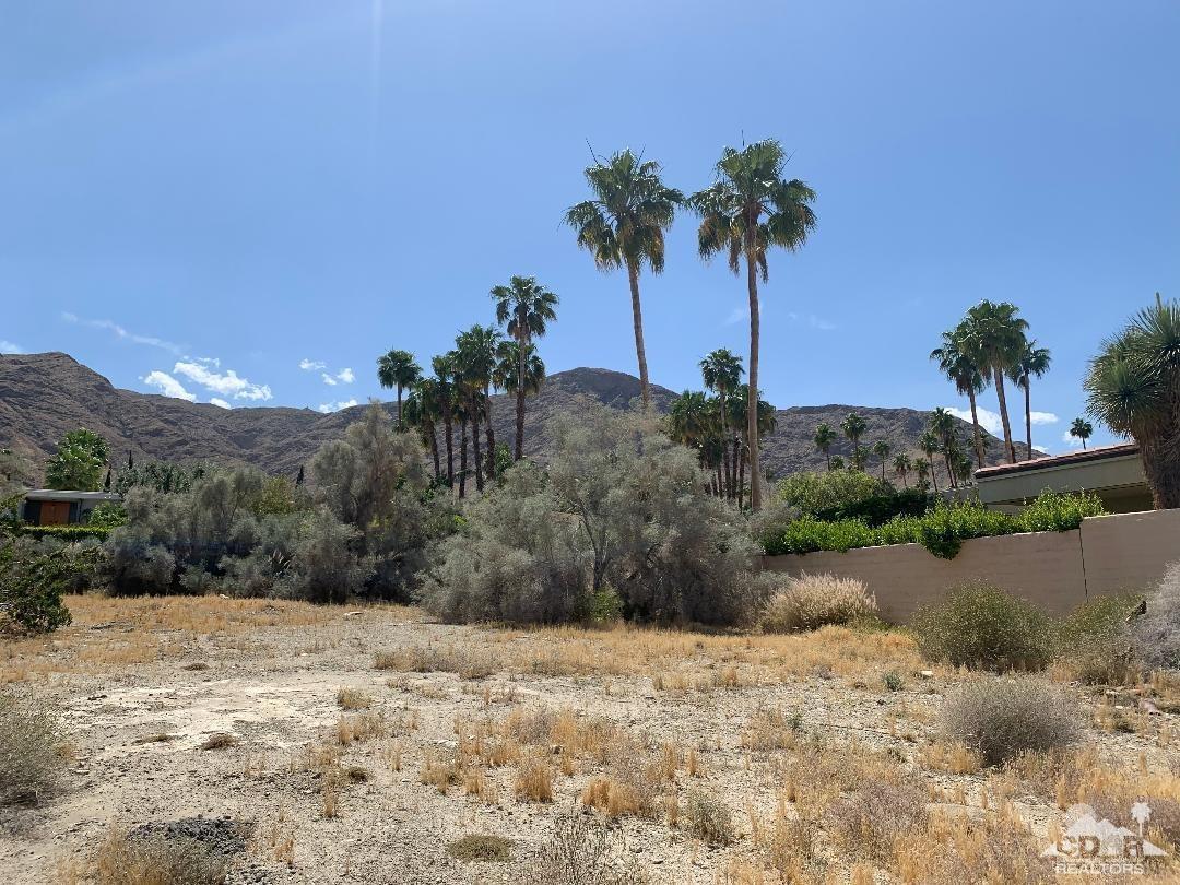 0 Pecos Rancho Mirage, CA 92270 - Photo 8 of 10 a view of a dry yard with a large tree