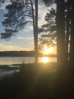 89 Belmeade Hall Road Johns Island, SC 29455 - Photo 1 of 11 IMG_6309