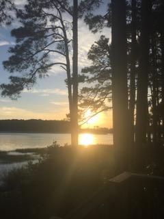89 Belmeade Hall Road Johns Island, SC 29455 - Photo 2 of 11 IMG_6310