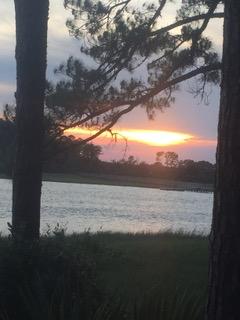 89 Belmeade Hall Road Johns Island, SC 29455 - Photo 11 of 11 IMG_6342