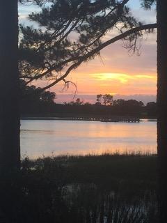 89 Belmeade Hall Road Johns Island, SC 29455 - Photo 5 of 11 IMG_6315
