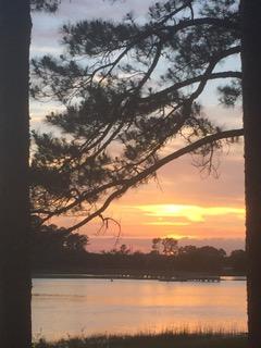 89 Belmeade Hall Road Johns Island, SC 29455 - Photo 6 of 11 IMG_6316