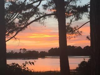 89 Belmeade Hall Road Johns Island, SC 29455 - Photo 7 of 11 IMG_6318