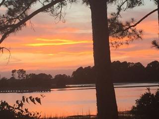 89 Belmeade Hall Road Johns Island, SC 29455 - Photo 10 of 11 IMG_6324