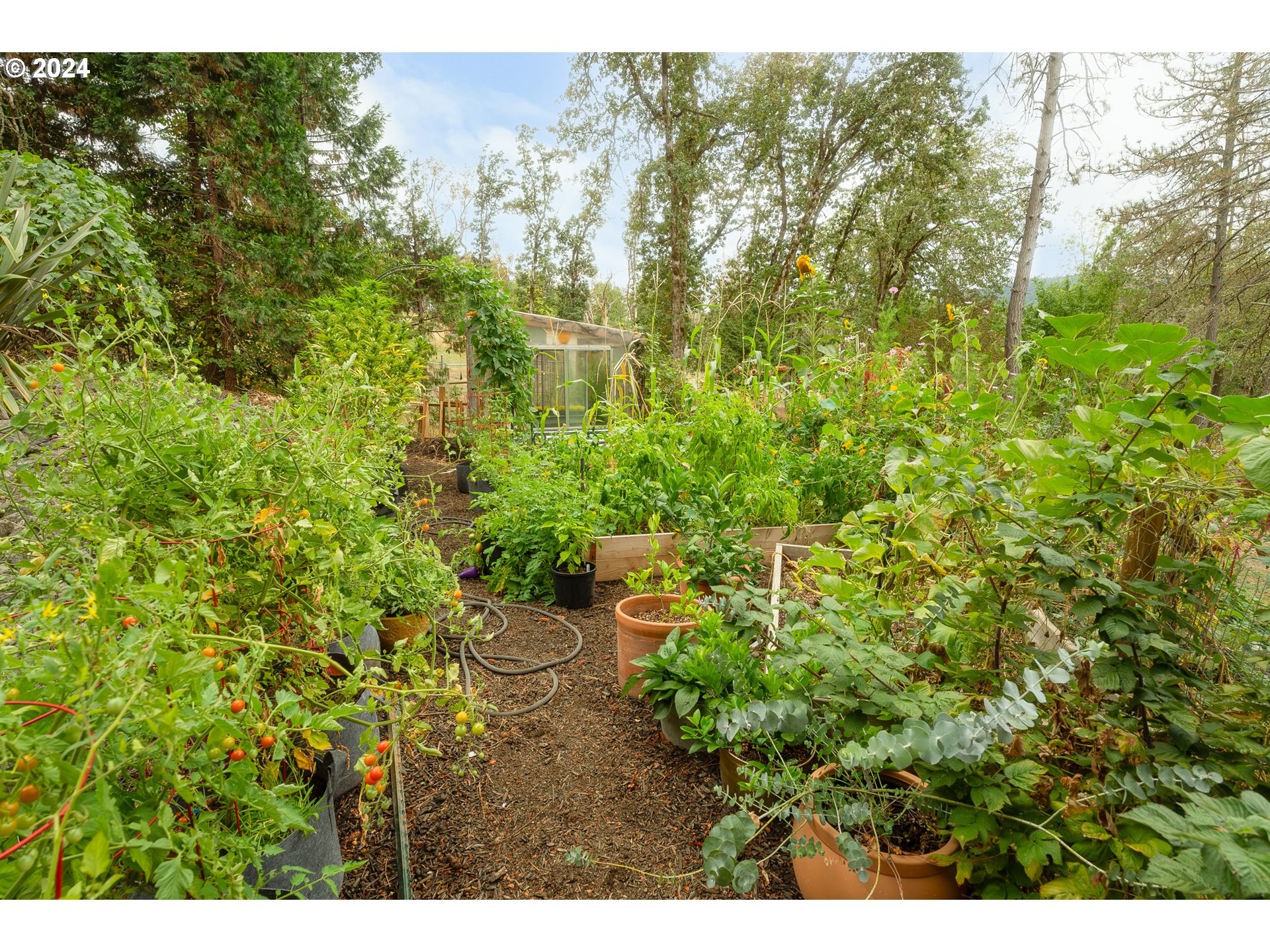 1335 Colonial Road Roseburg, OR 97471 - Photo 31 of 46 Gallery Image 31
