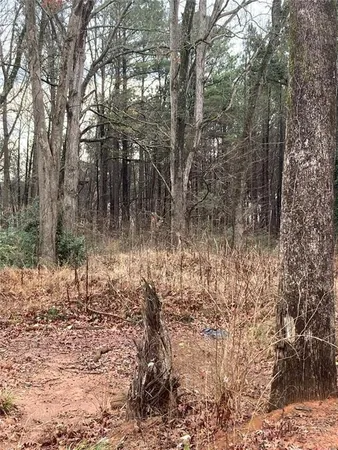 a view of a yard with trees