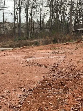 a view of water covered with trees