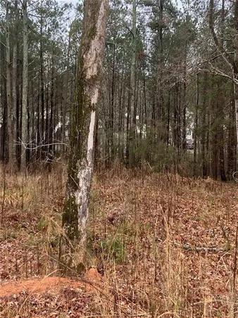 a view of backyard with green space