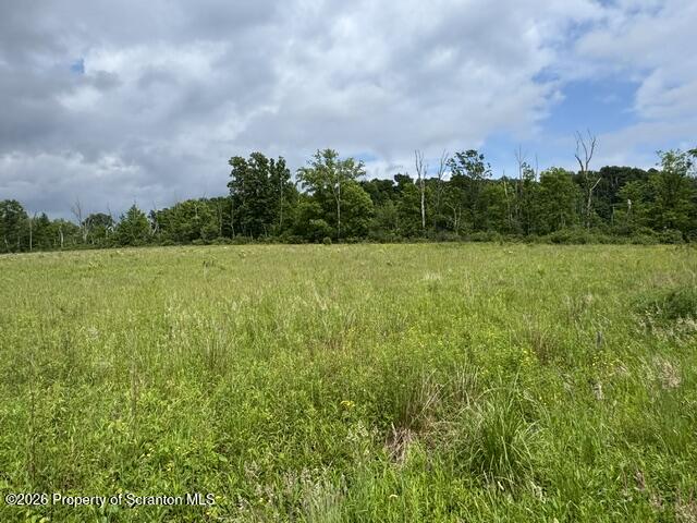 Lot 3 Reynolds Road Dalton, PA 18414 - Photo 4 of 6 IMG_0451