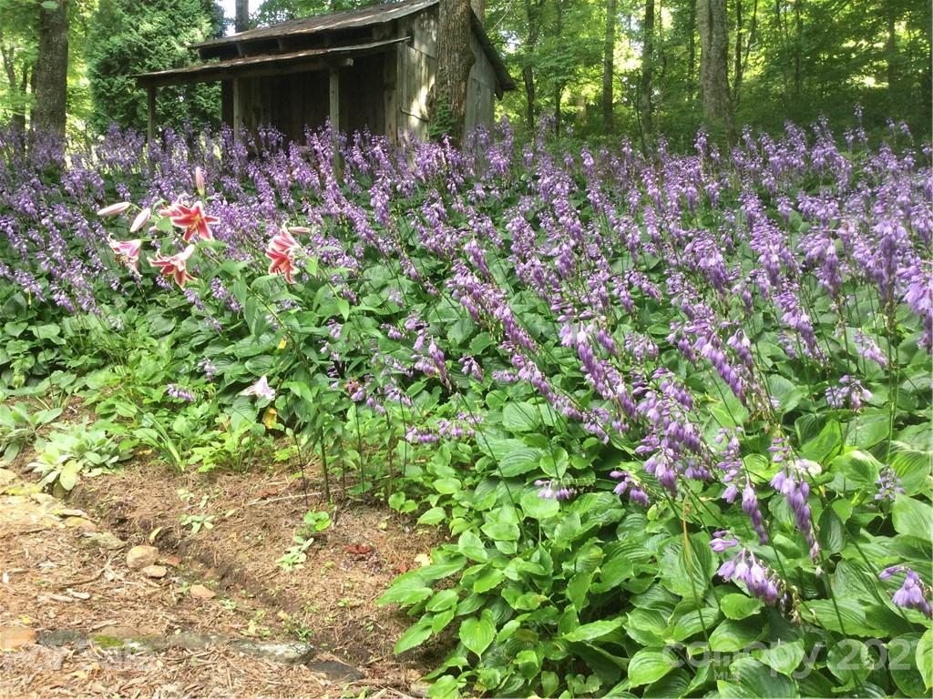 150 Staton Ridge Road Saluda, NC 28773 - Photo 44 of 44 a view of a garden with plants