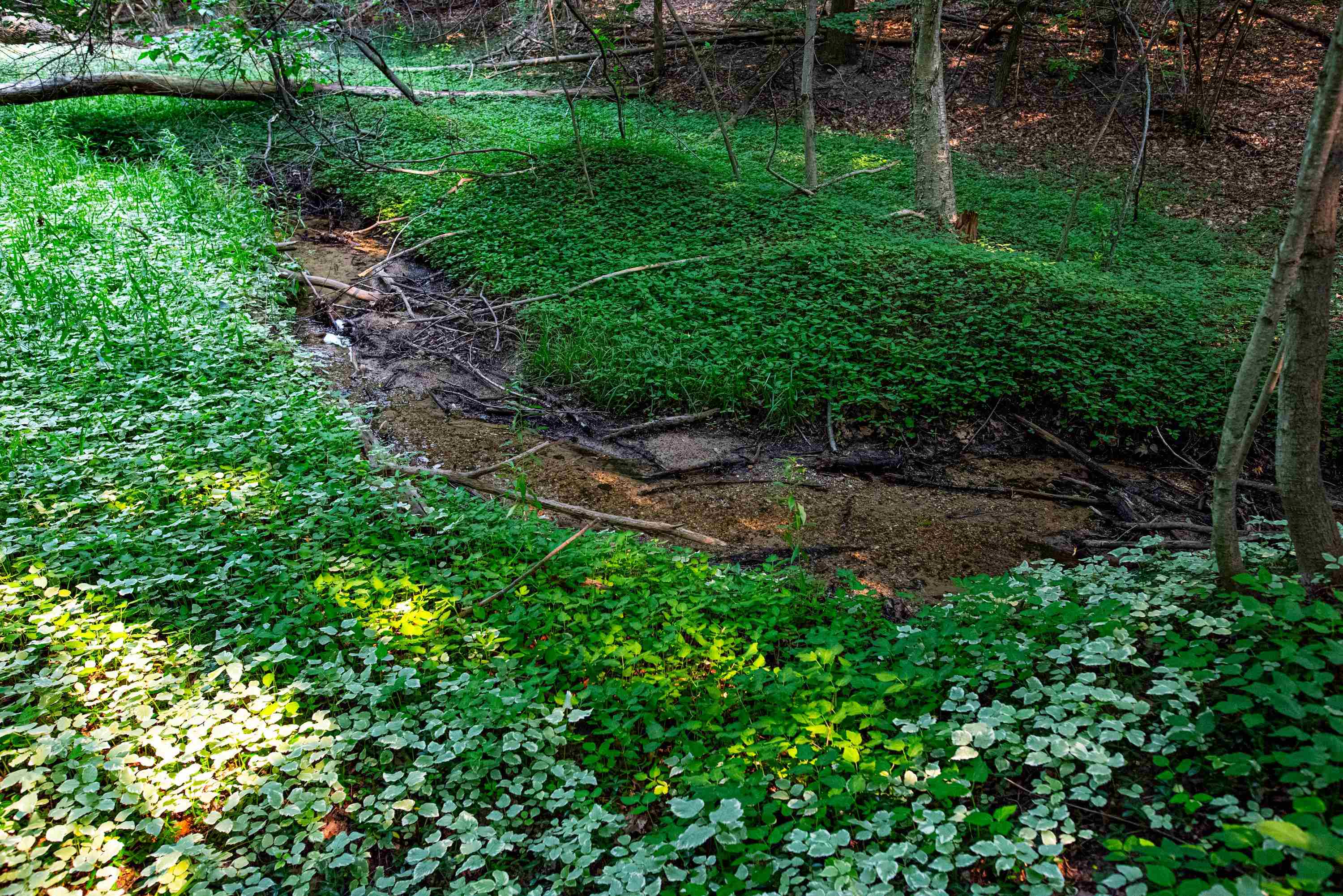 0 East Grandview Road Traverse City, MI 49684 - Photo 1 of 24