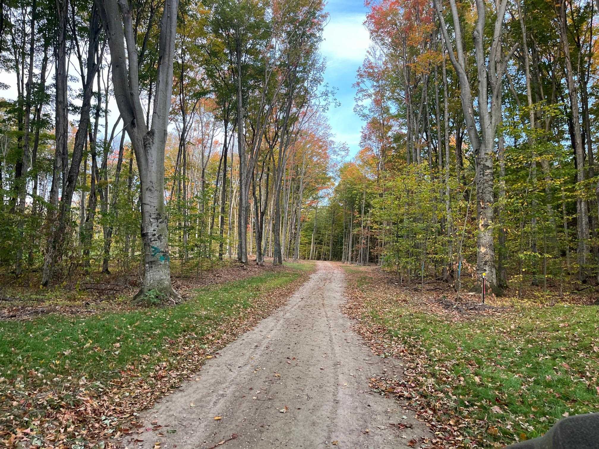 2 South Bright Road, Unit LOT: 2 Maple City, MI 49664 - Photo 4 of 13