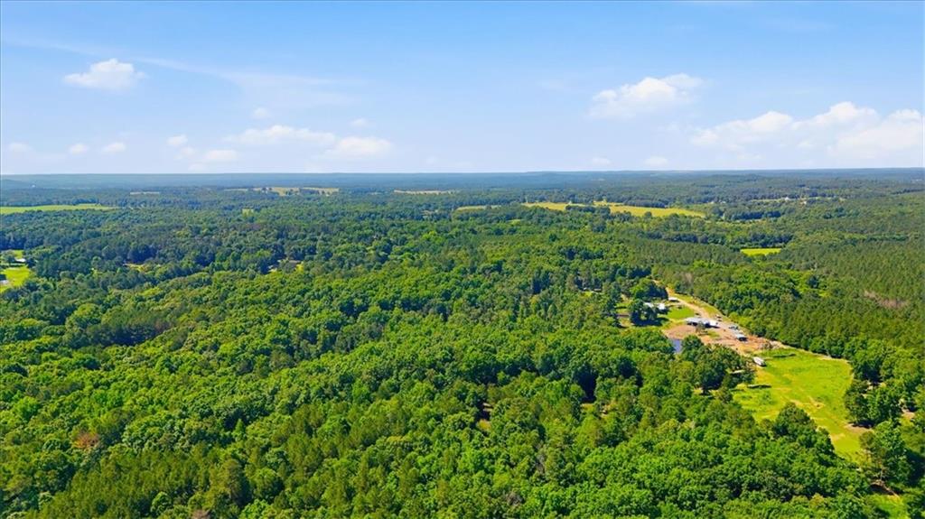 0 Williams Road Southeast Silver Creek, GA 30173 - Photo 6 of 35