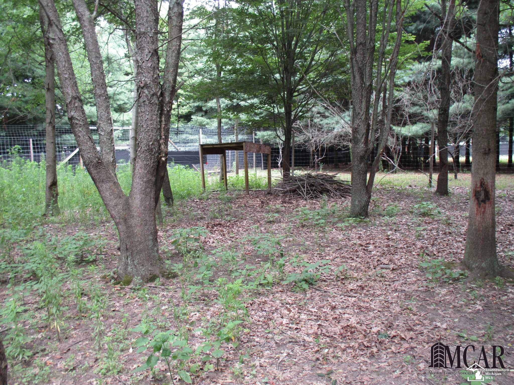12169 Oelke Road Maybee, MI 48159 - Photo 35 of 37 21480225-34.JPG