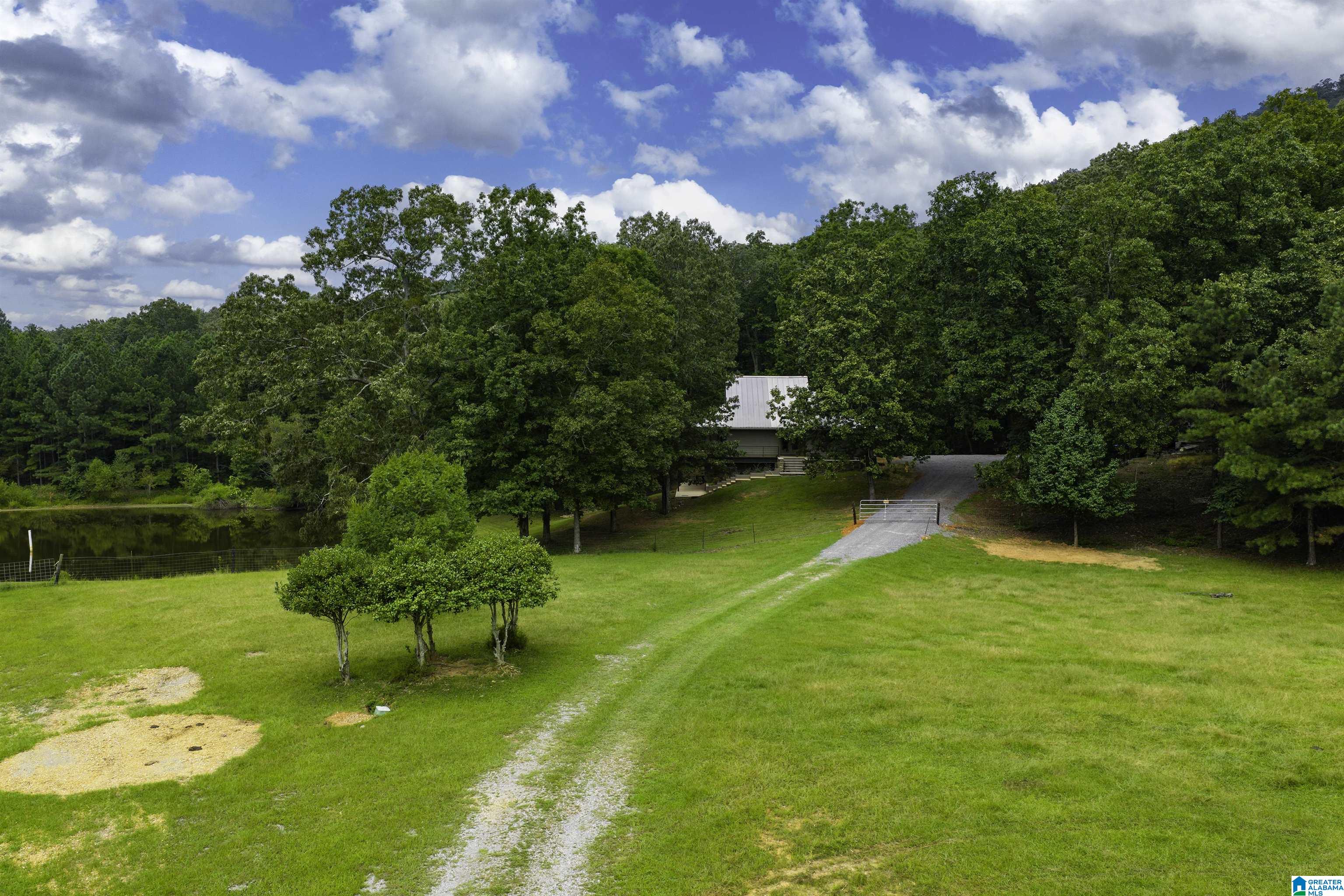 1187 Crawfords Cove Road Springville, AL 35146 - Photo 60 of 64