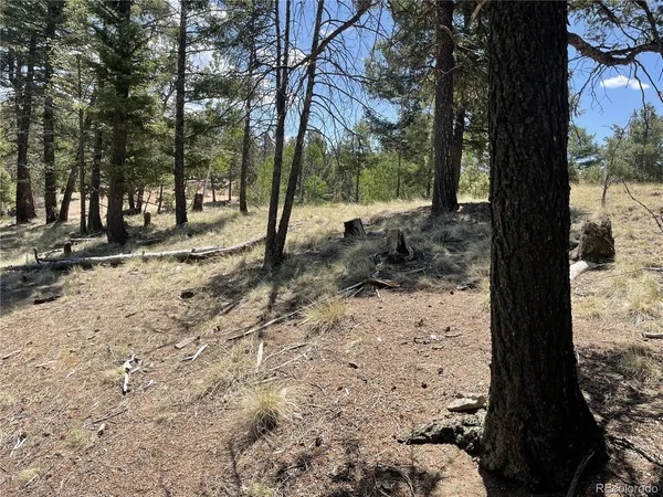 $17,000 | 971 Spring Valley Lane, Florissant, CO 80816