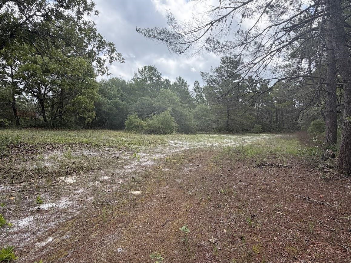 2094 Lighthouse Road Carrabelle, FL 32322 - Photo 49 of 58