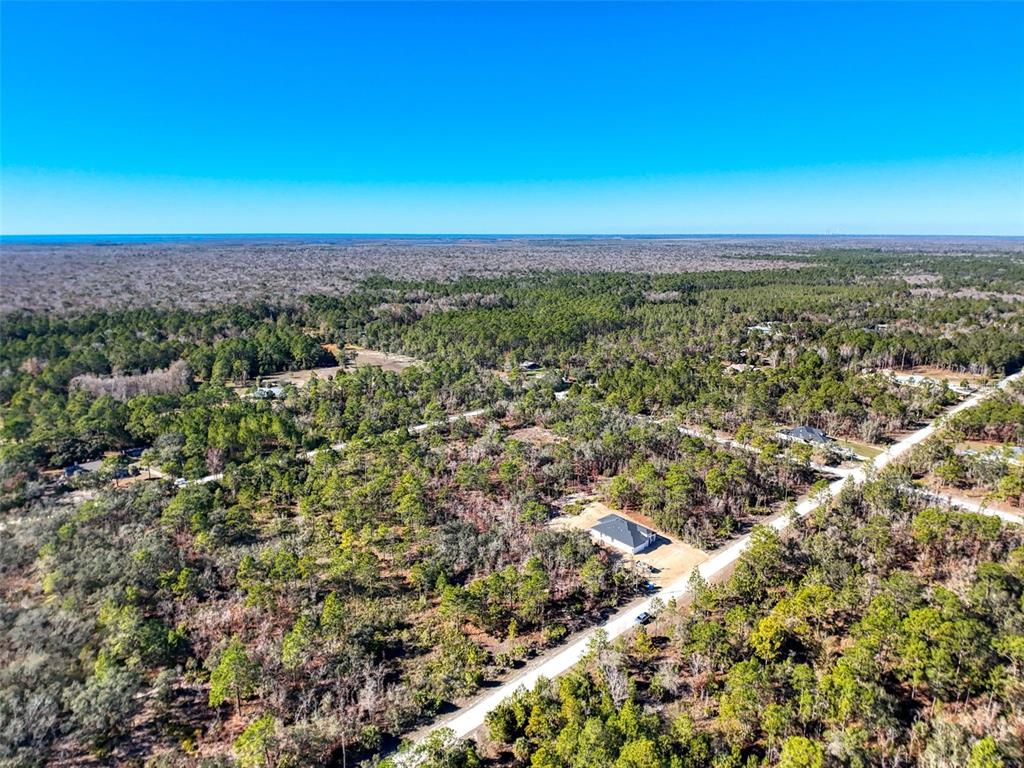 18079 Ramsey Road Weeki Wachee, FL 34614 - Photo 11 of 37 an aerial view of a city with lots of residential buildings