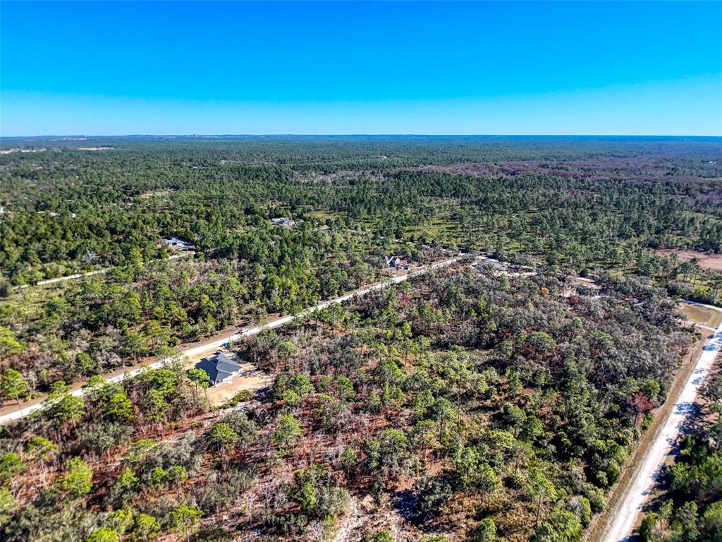 18079 Ramsey Road Weeki Wachee, FL 34614 - Photo 12 of 37 an aerial view of residential houses with outdoor space