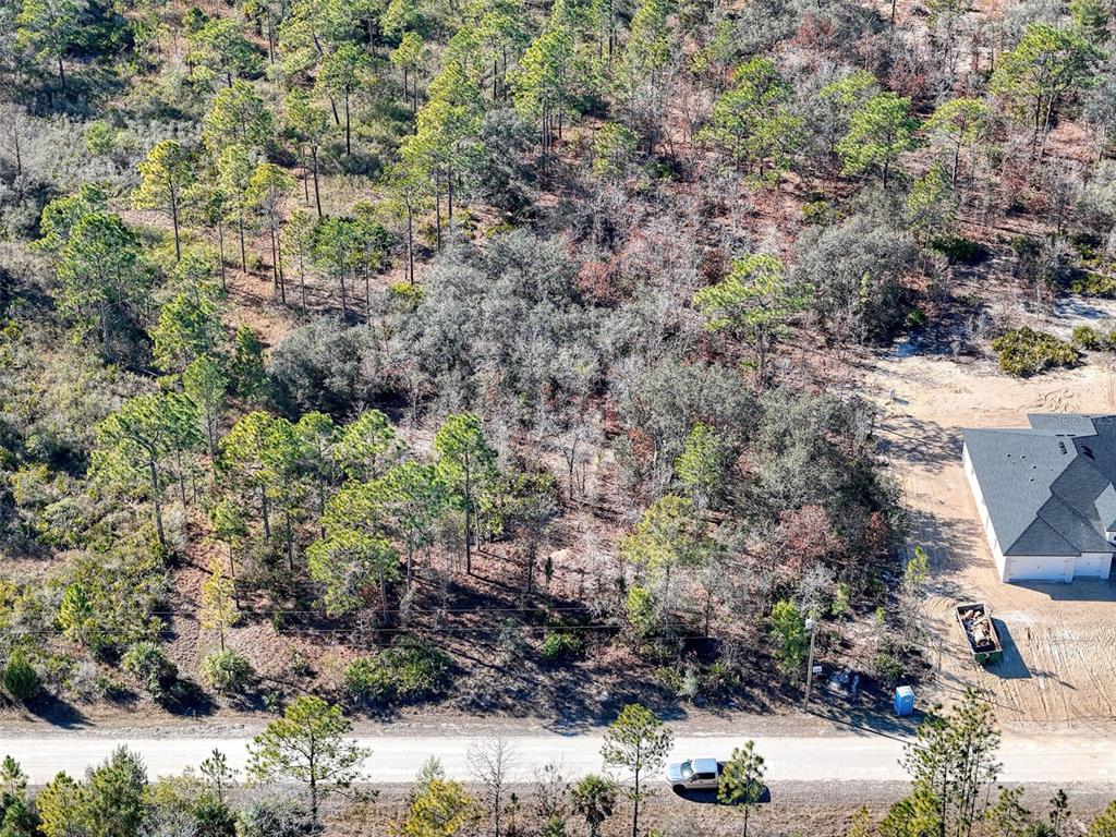 18079 Ramsey Road Weeki Wachee, FL 34614 - Photo 13 of 37 a view of a yard with plants