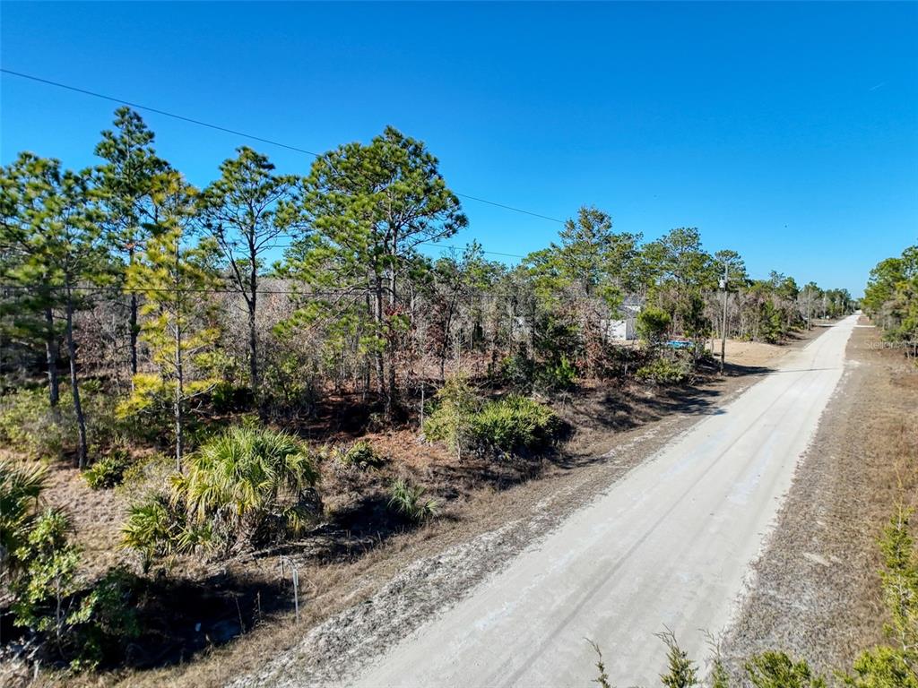 18079 Ramsey Road Weeki Wachee, FL 34614 - Photo 14 of 37 a view of a garden