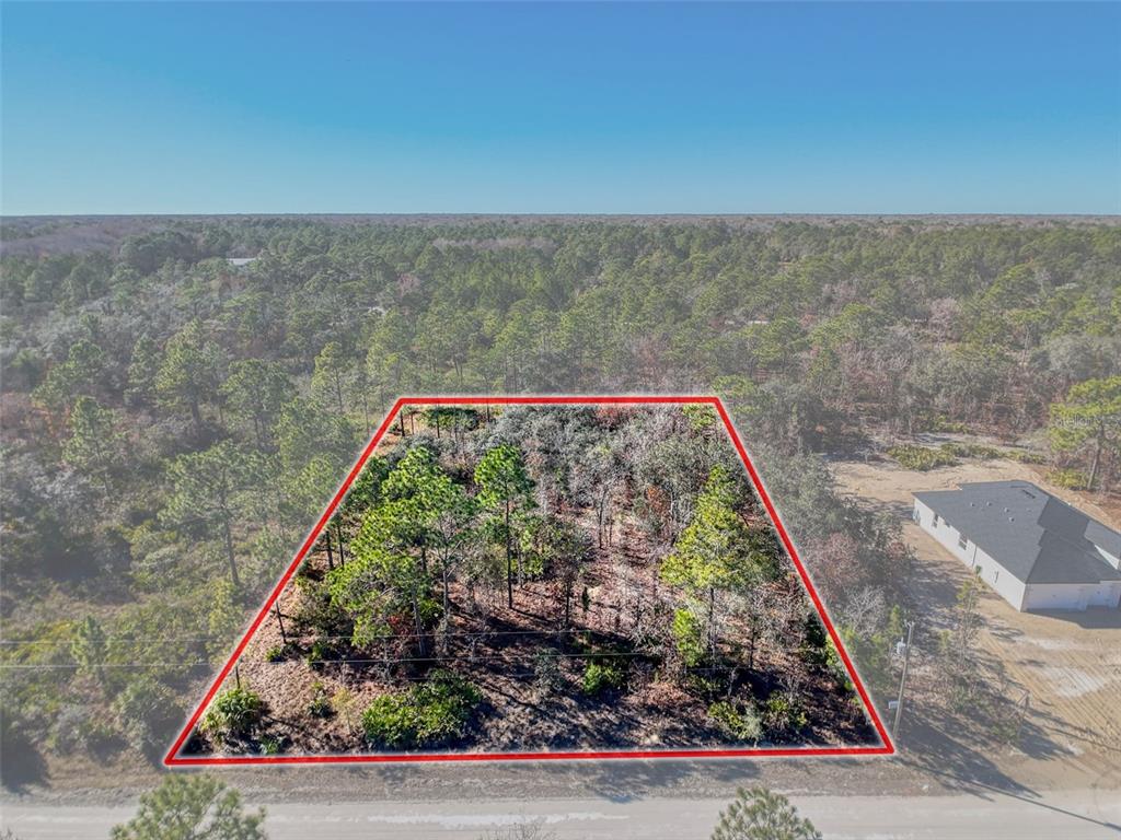 18079 Ramsey Road Weeki Wachee, FL 34614 - Photo 16 of 37